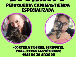 Peluquería canina y tienda especializada
