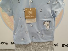 Conjunto celeste cebras