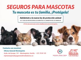 Seguro para mascotas